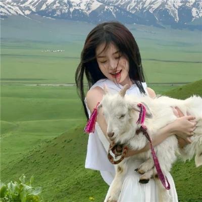 皇牌特务龙虎斗